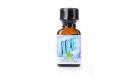 Poppers Ice aromatisé menthe 24ml